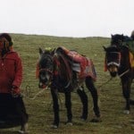 Khampas caravan