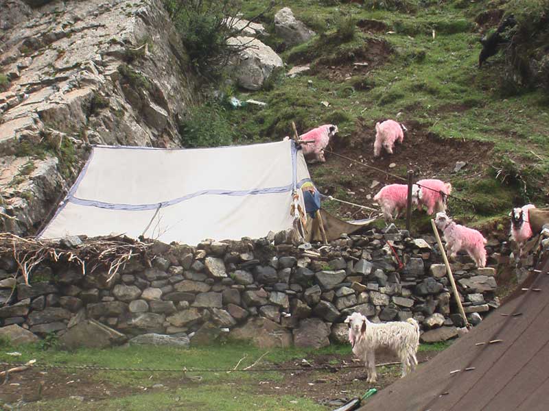 Trek Ganden to Samye