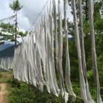 hike route with prayers flags in Thimphu hike route with prayers flags in Thimphu