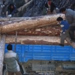 loading up logs in Kham years ago