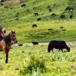 Tibetan child riding on the horseback