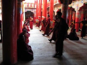 Monks are debating at Shangbalin monastery