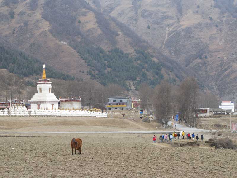 Tibetan language