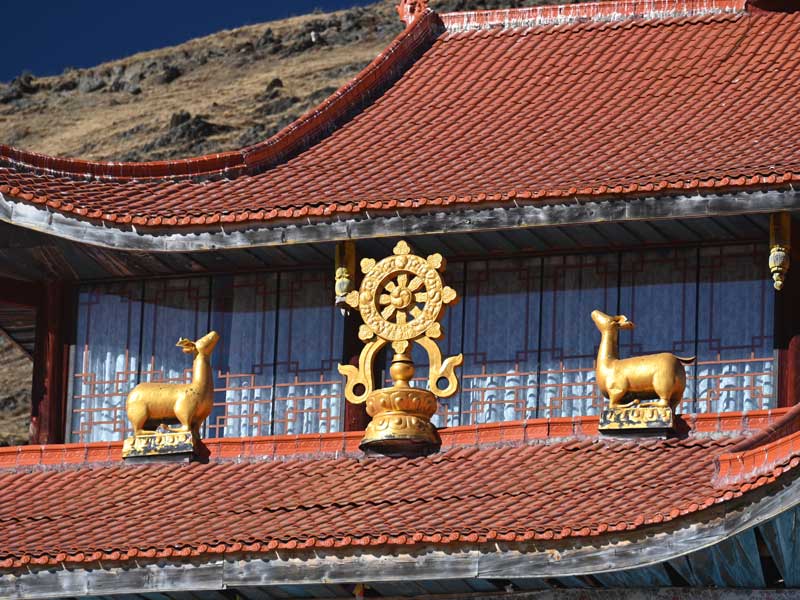 2 deer listen Dharma