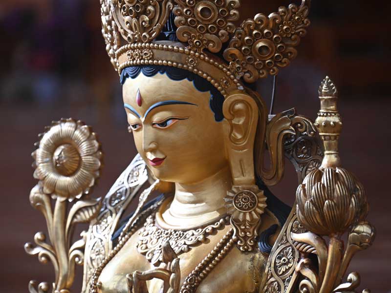 Tara