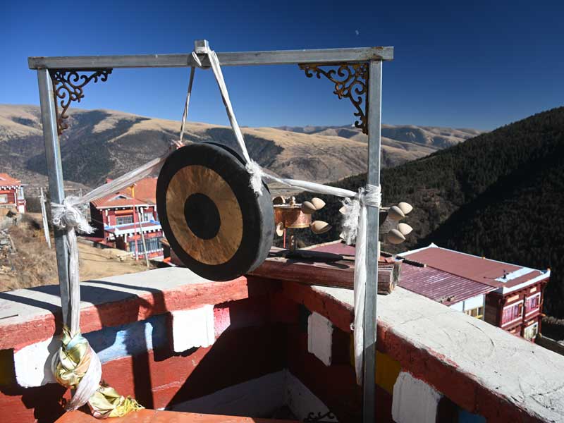 Camla-view