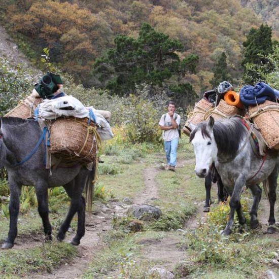 Chilila Trek