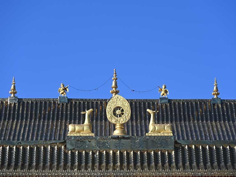 Cogri roof top