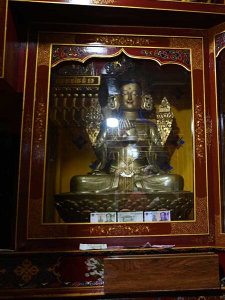 Dratang niche