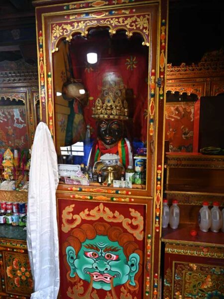 Drepung Protector