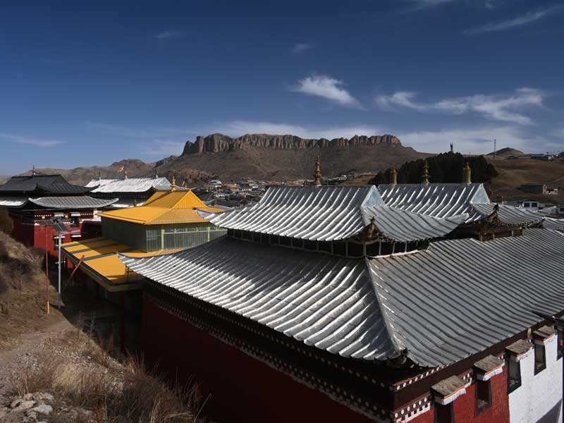 Geerti view