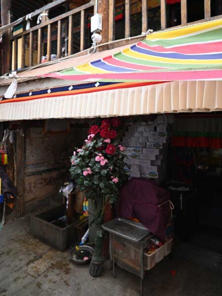 Meru Nyingpa main hall