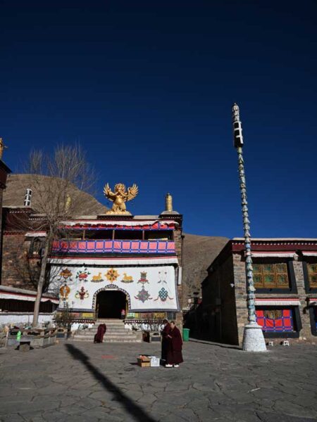 Mindroling protector hall