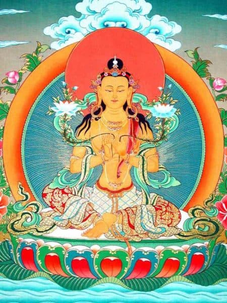 Nivarana Vishkambha Dripa Namsel