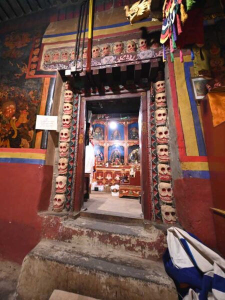 Protector-hall