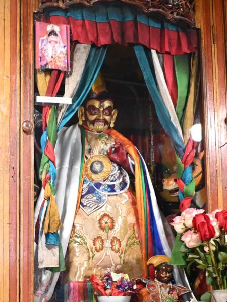 tawo protector
