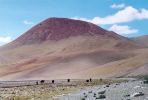 Trekking to Indus Source