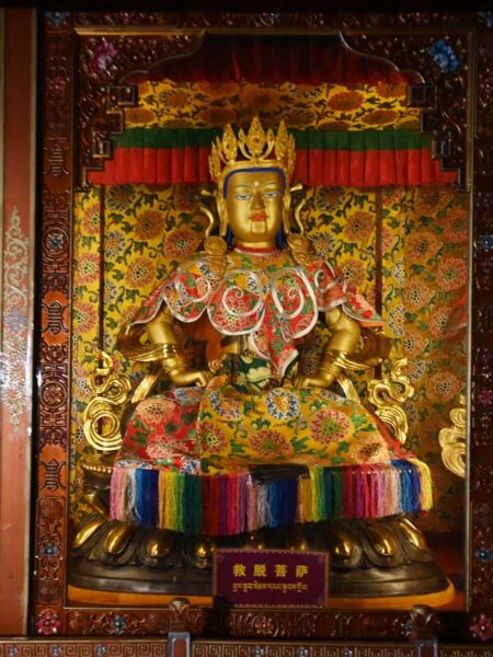 Salvation-Bodhisattva