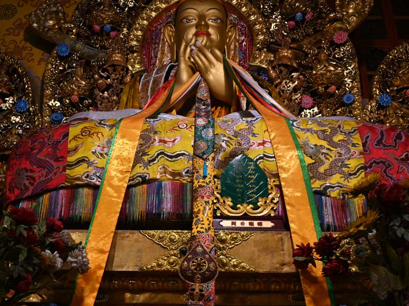 Ashi-Lama