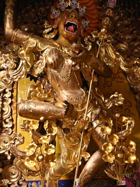 Lion-Faced-Dakini
