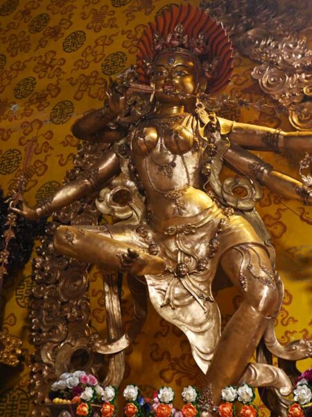 Xia-Tara