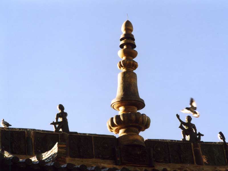 Shalu-rooftop