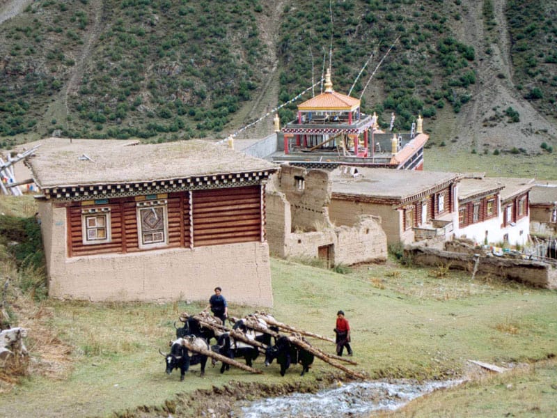Shechen monastery