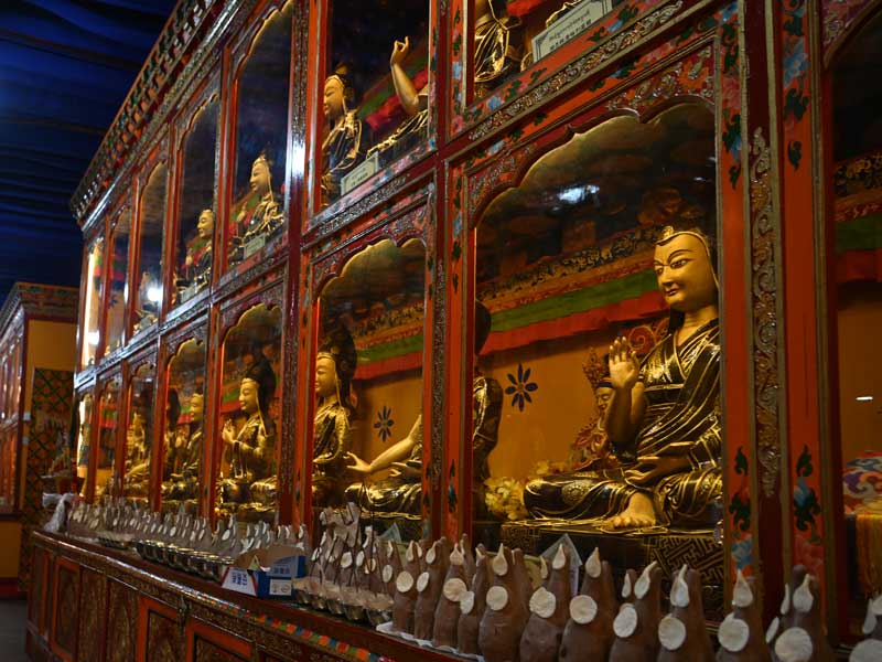 Shedrubling buddhas
