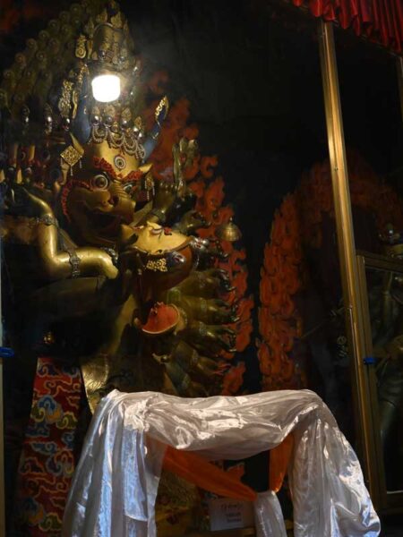 Shedrubling protector