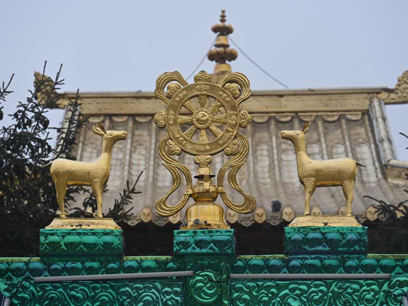 Tagtsa-Dhamar-Wheel