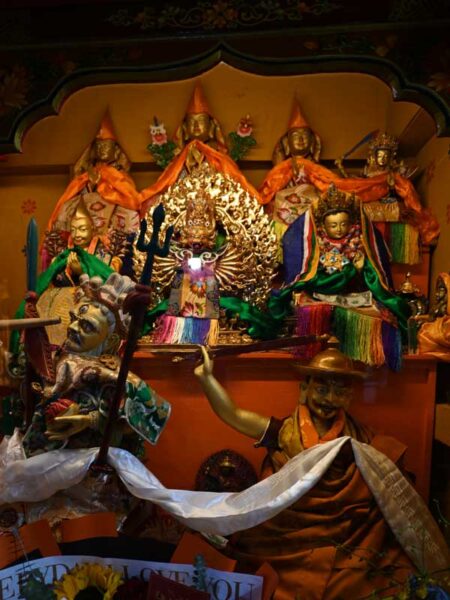 Trode Khangsar protectors
