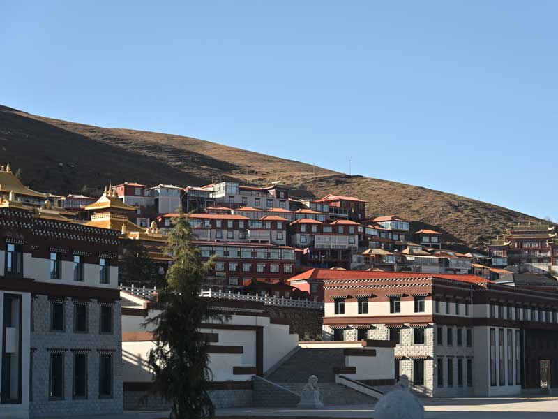 Tsangna buildings