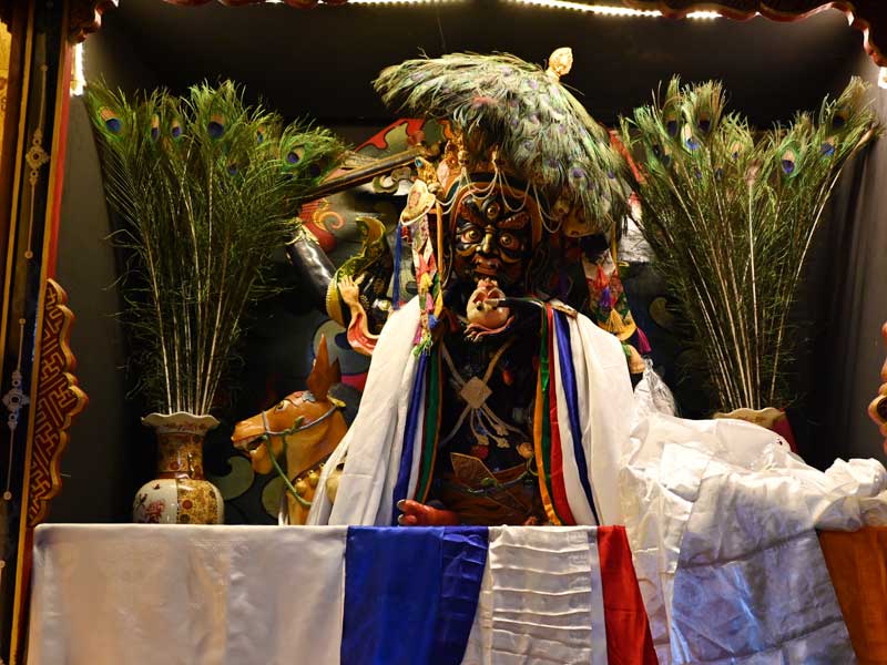 Tsantang Protector