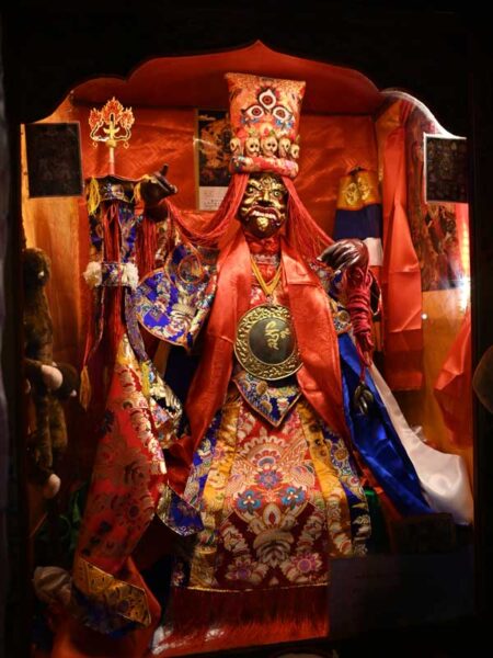 Tshongdu Protector