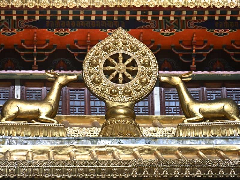 Two-deer-listen-dharma