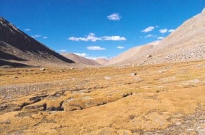 The trek to Indus Source