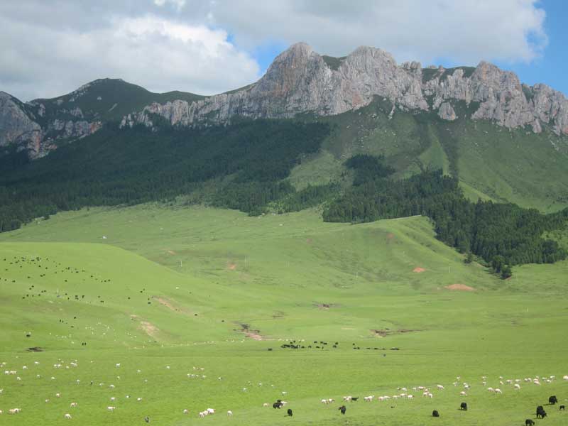 Zoige County