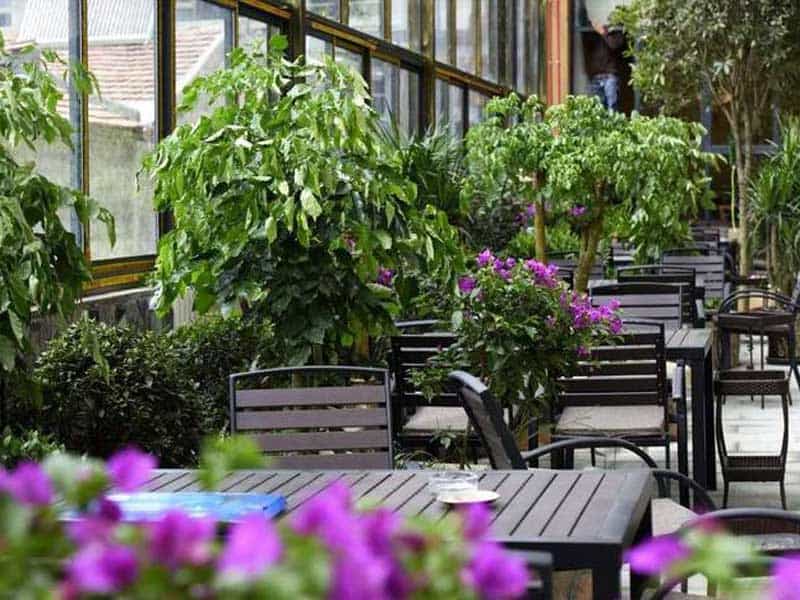 Aba Villa Garden Hotel