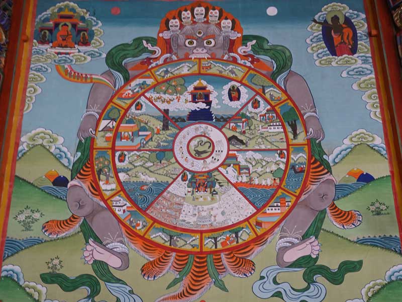 cycle of life