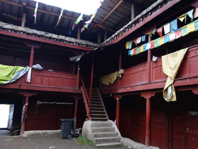 yard