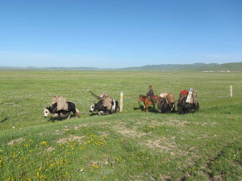 Hongyuan County