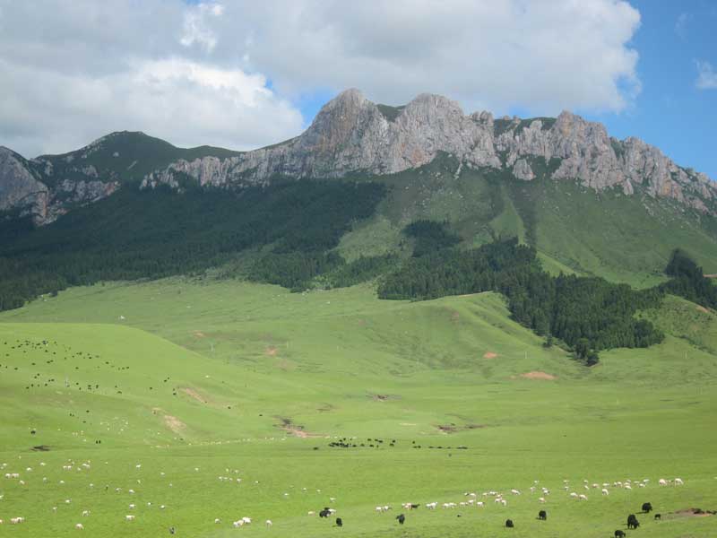 Aba Tibetan & Qiang Autonomous Prefecture