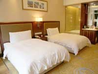 Gongga Shentang Hot Spring Hotel Room Type