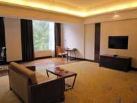 Gongga Shentang Hot Spring Hotel Room Type