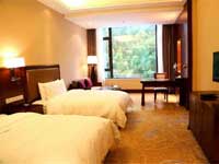 Gongga Shentang Hot Spring Hotel Room Type