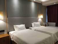 Bamei Art Holiday Hotel Room Type