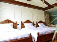Aba Villa Garden Hotel Room Type