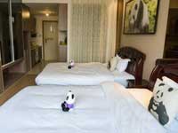Chengdu Panda Apartment Room Type