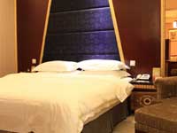 Gesar Hotel Room Type