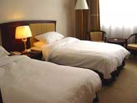 Gesar Hotel Room Type